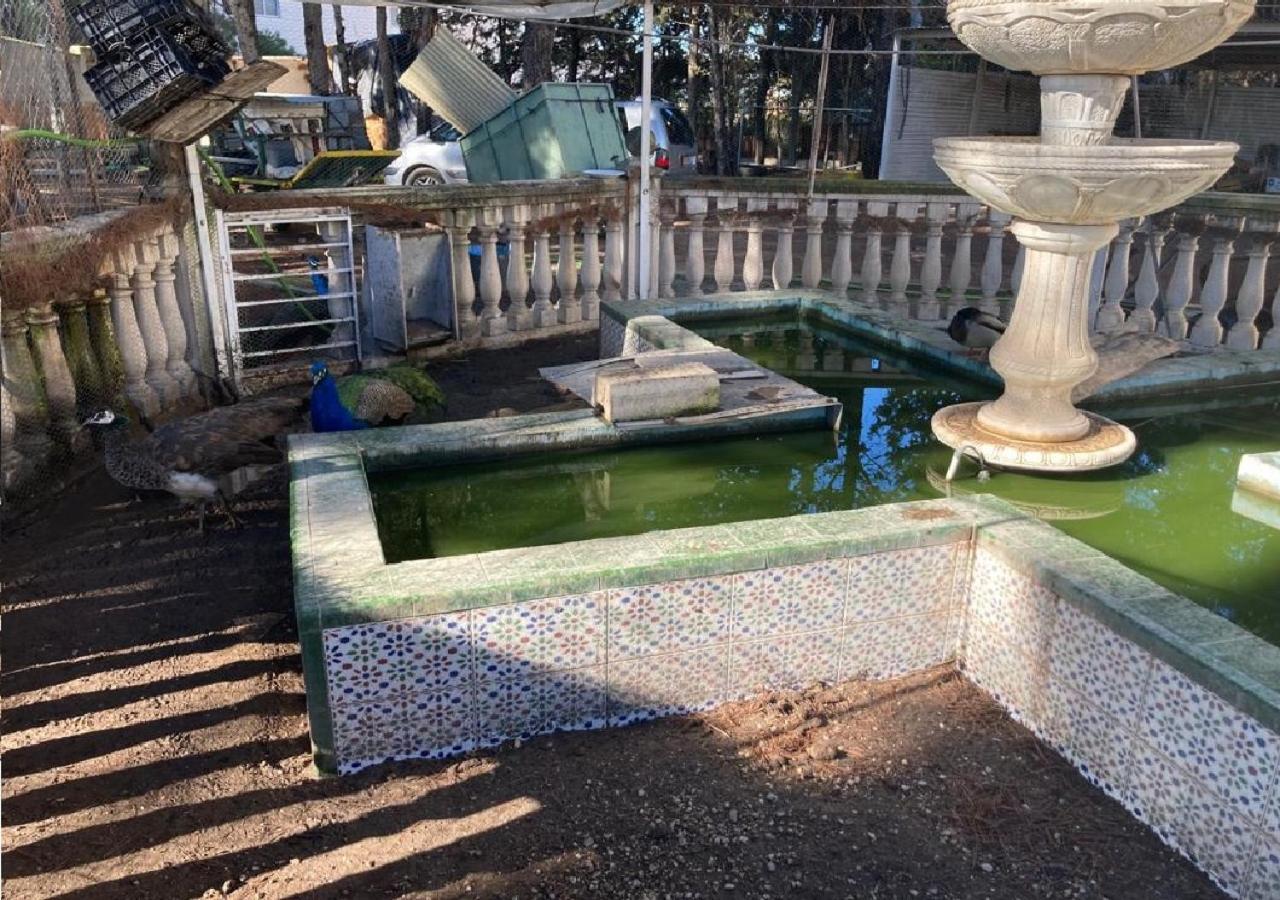 Habitacion En Casa Rural Particular El Palomar Βιγιένα Εξωτερικό φωτογραφία